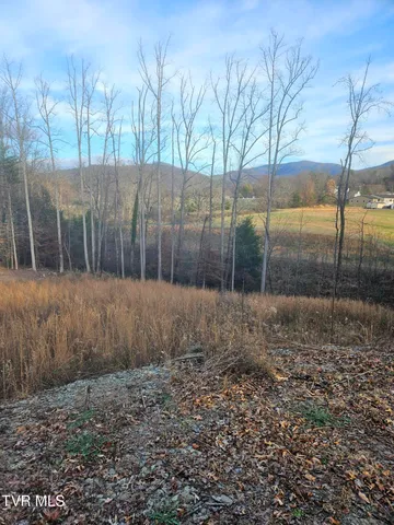 $69,000 | 0 Galax Drive, Unit NOTE, Erwin, TN 37650