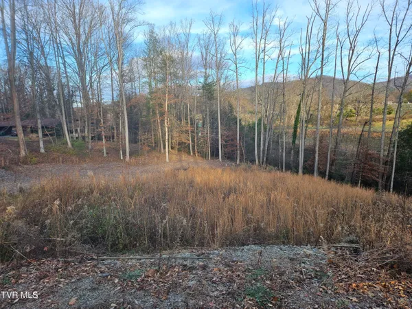 $69,000 | 0 Galax Drive, Unit NOTE, Erwin, TN 37650