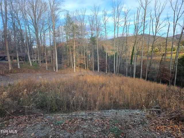 $69,000 | 0 Galax Drive, Unit NOTE, Erwin, TN 37650