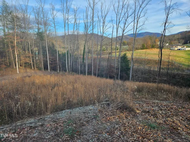 $69,000 | 0 Galax Drive, Unit NOTE, Erwin, TN 37650