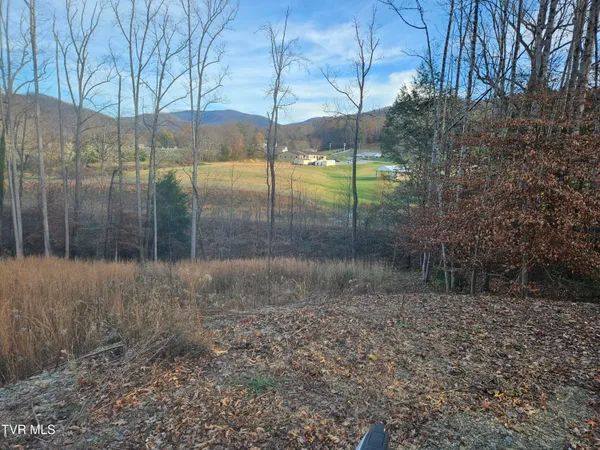 $69,000 | 0 Galax Drive, Unit NOTE, Erwin, TN 37650