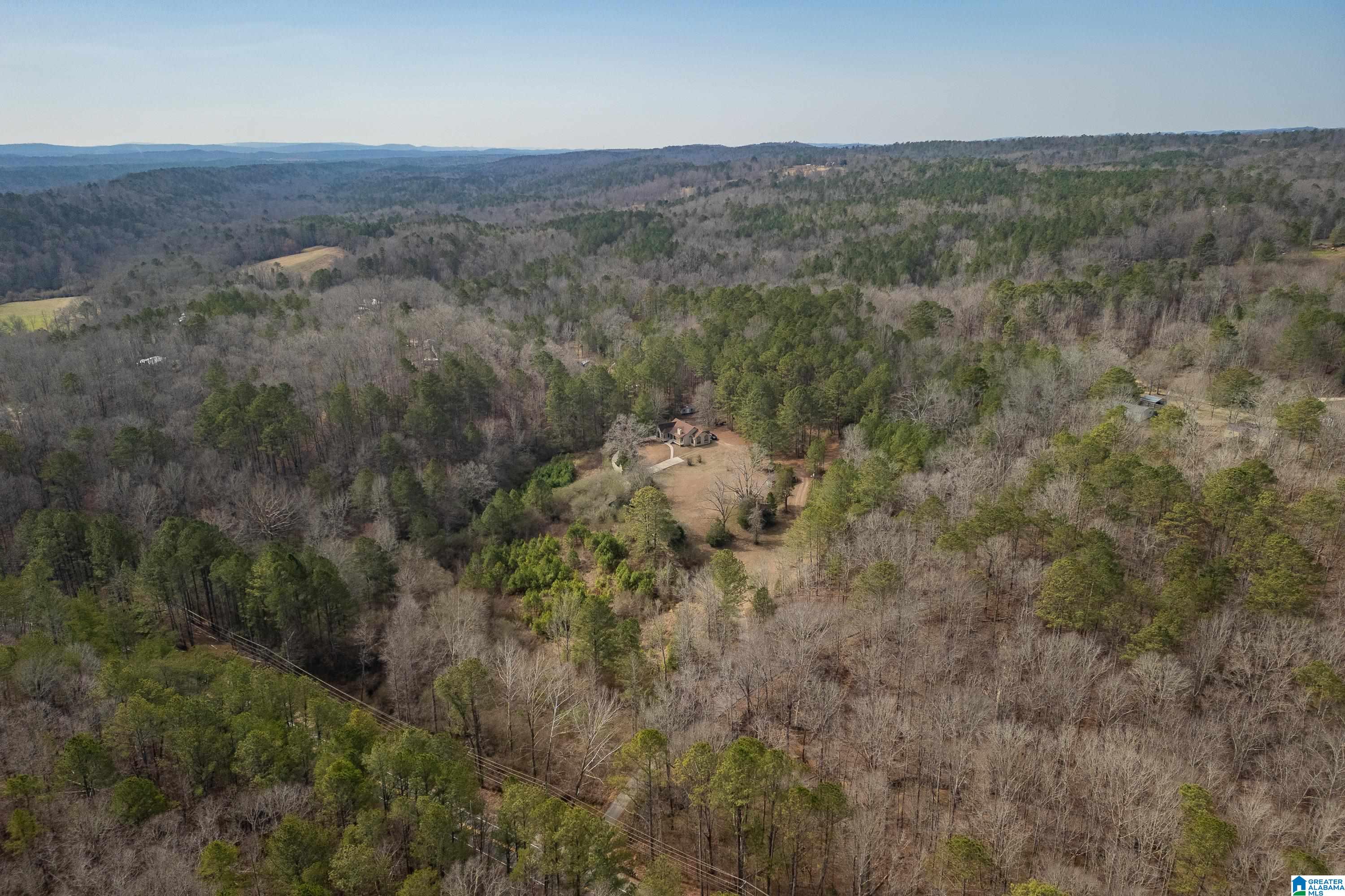2050 Argo Margaret Road Odenville, AL 35120 - Photo 4 of 61