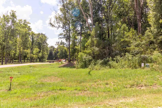 a view of a yard with swimming pool