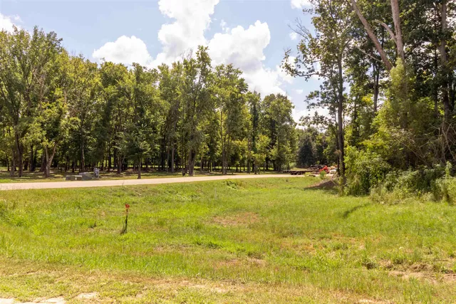 a view of a yard with swimming pool