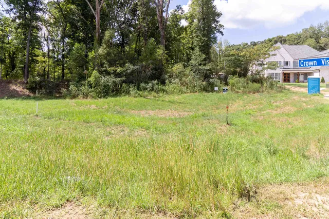 a view of yard with green space