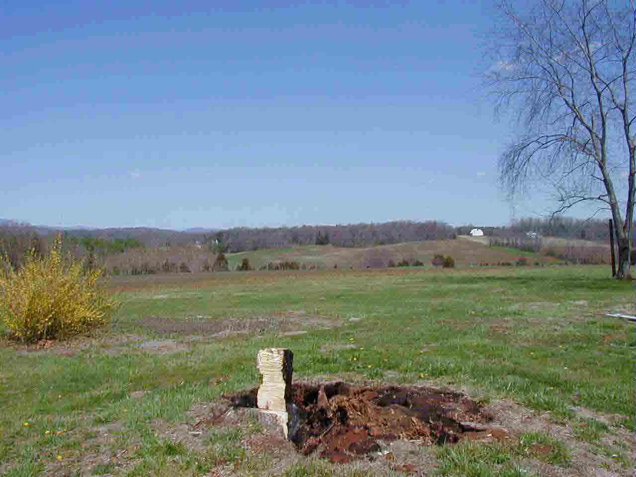 231 Rte Rochelle Va 22738 Rochelle, VA 22738 - Photo 3 of 4 a view of a field with an ocean