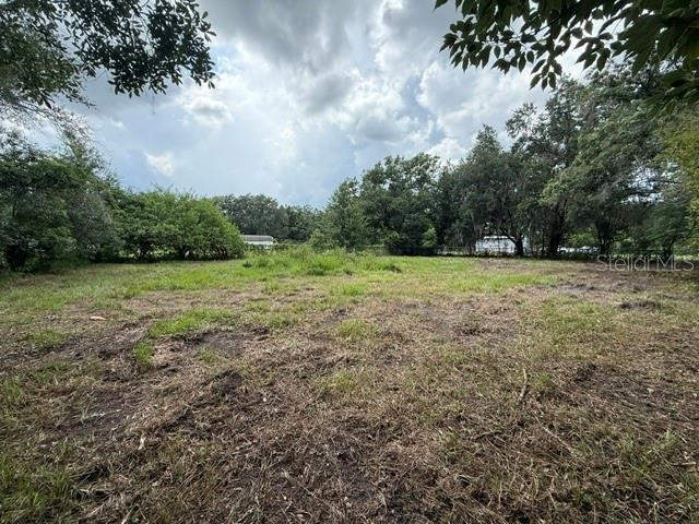 3011 South Wiggins Road Plant City, FL 33566 - Photo 4 of 17 a view of a trees with a big yard