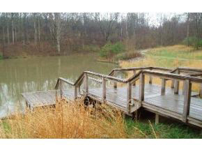 3842 Surber Road Spencer, IN 47460 - Photo 3 of 6