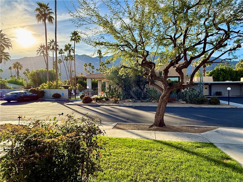 1111 East Ramon Road, Unit 51 Palm Springs, CA 92264 - Photo 17 of 28 Looking out Dining room window and front door across from pool.