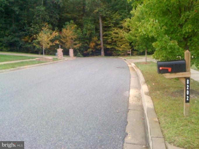 8202 Rison Drive Brandywine, MD 20613 - Photo 20 of 22 Street View