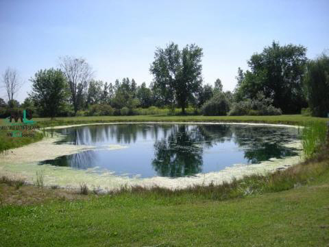 10393 Hill Road Goodells, MI 48027 - Photo 3 of 12 544527-2.JPG