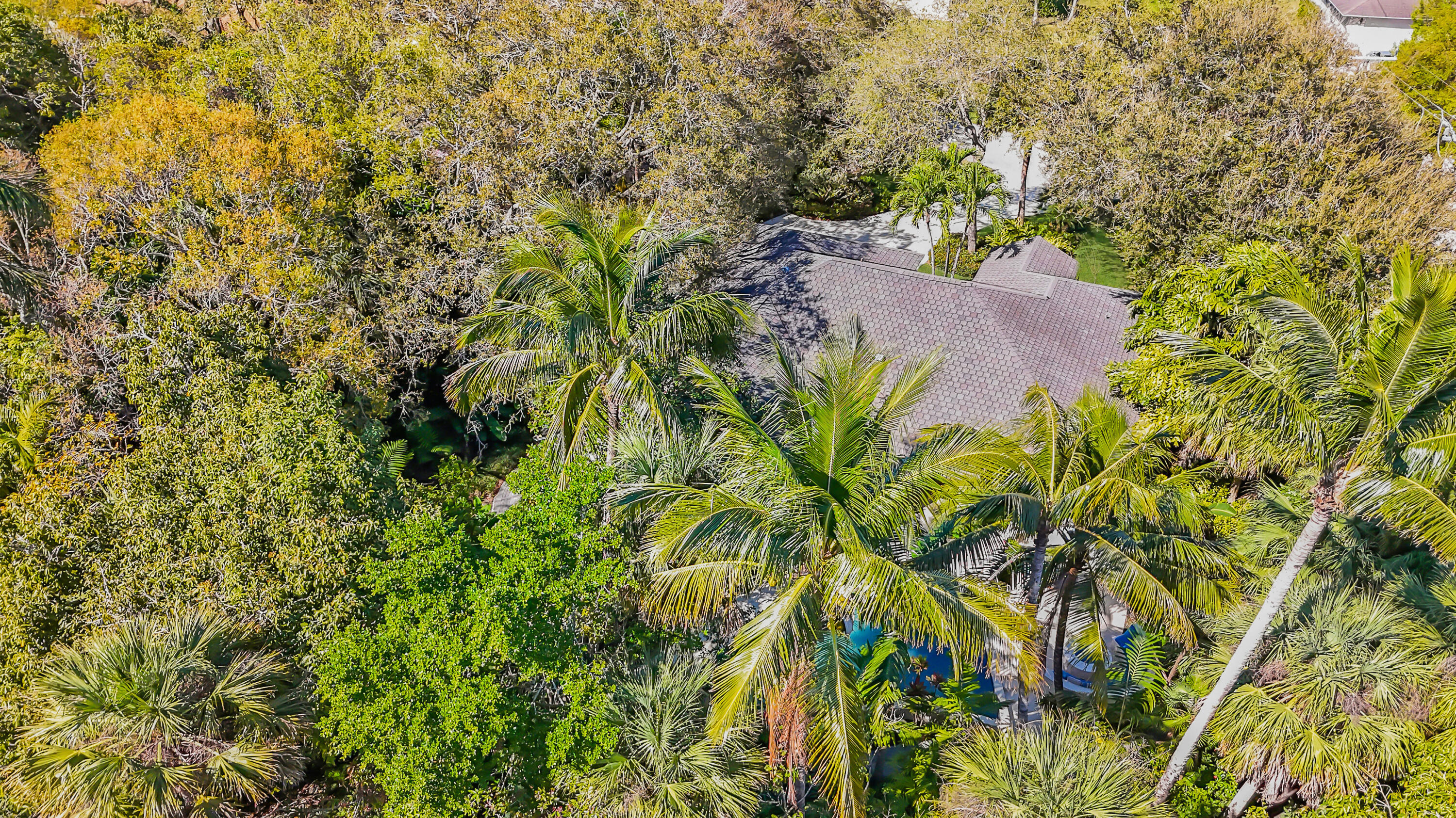 6000 Eagles Nest Drive Jupiter, FL 33458 - Photo 83 of 86 47_Aerial_6