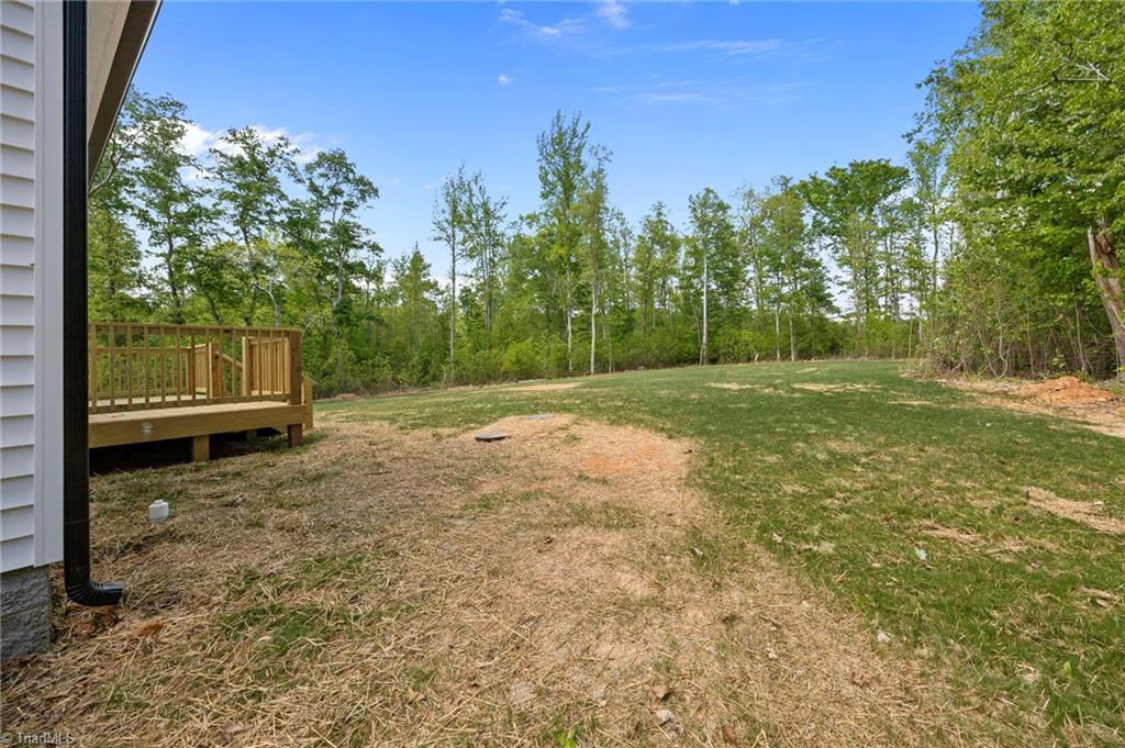 218 Fishermans Point Road Roxboro, NC 27574 - Photo 40 of 49