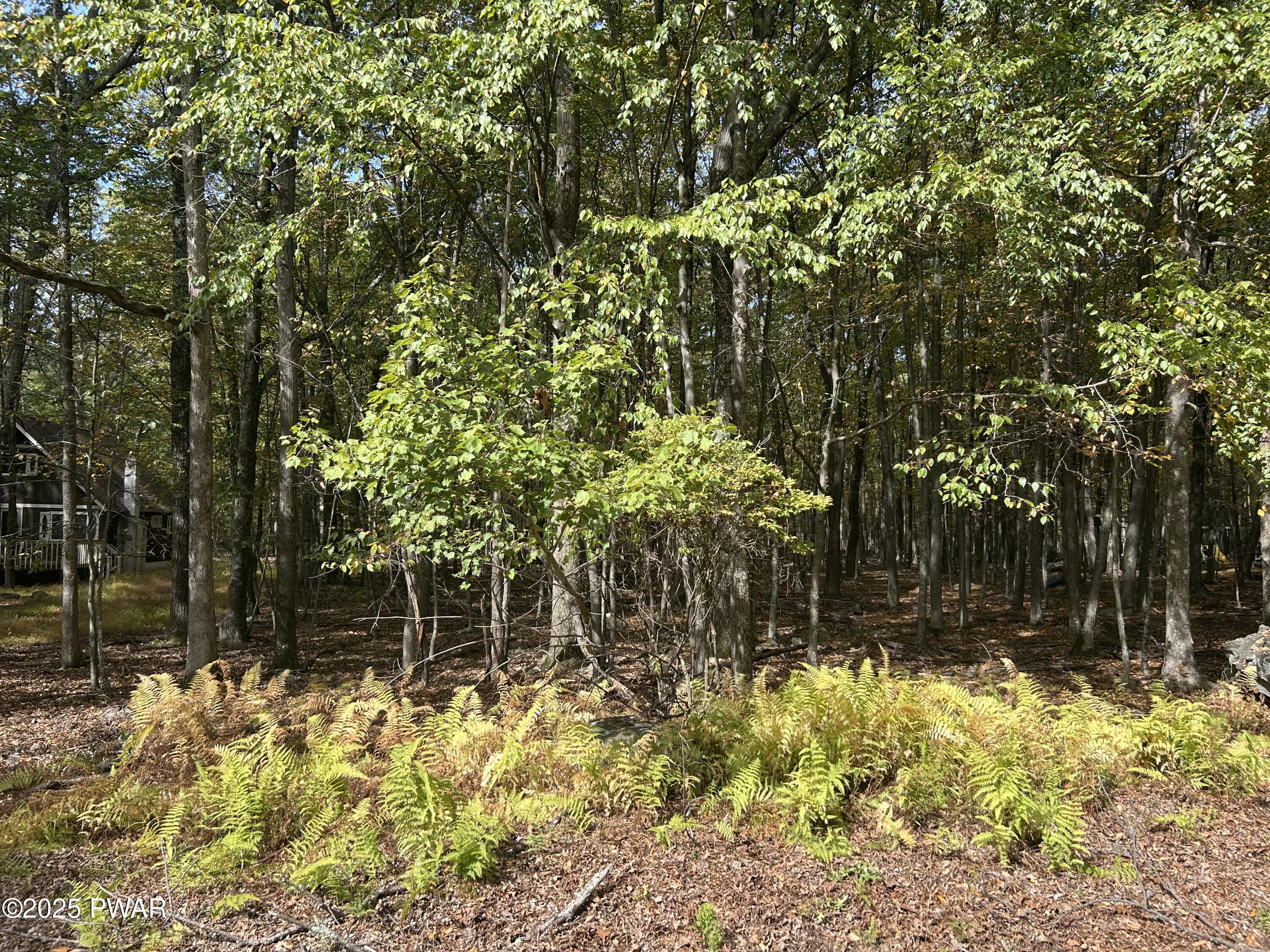 Lot 251 West Chipmunk Road Bushkill, PA 18324 - Photo 3 of 3