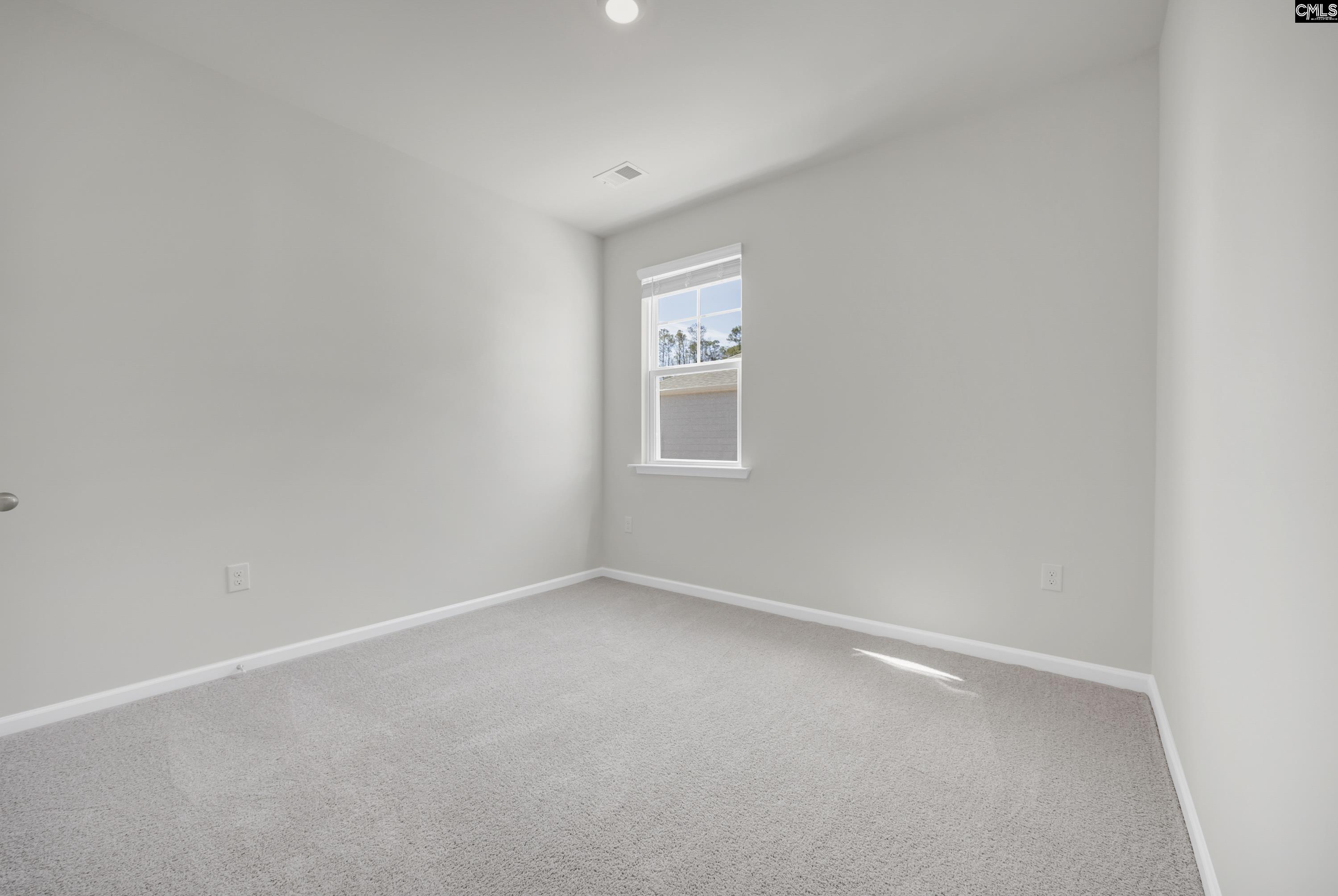 209 Ruby Prince Road Gilbert, SC 29054 - Photo 27 of 38