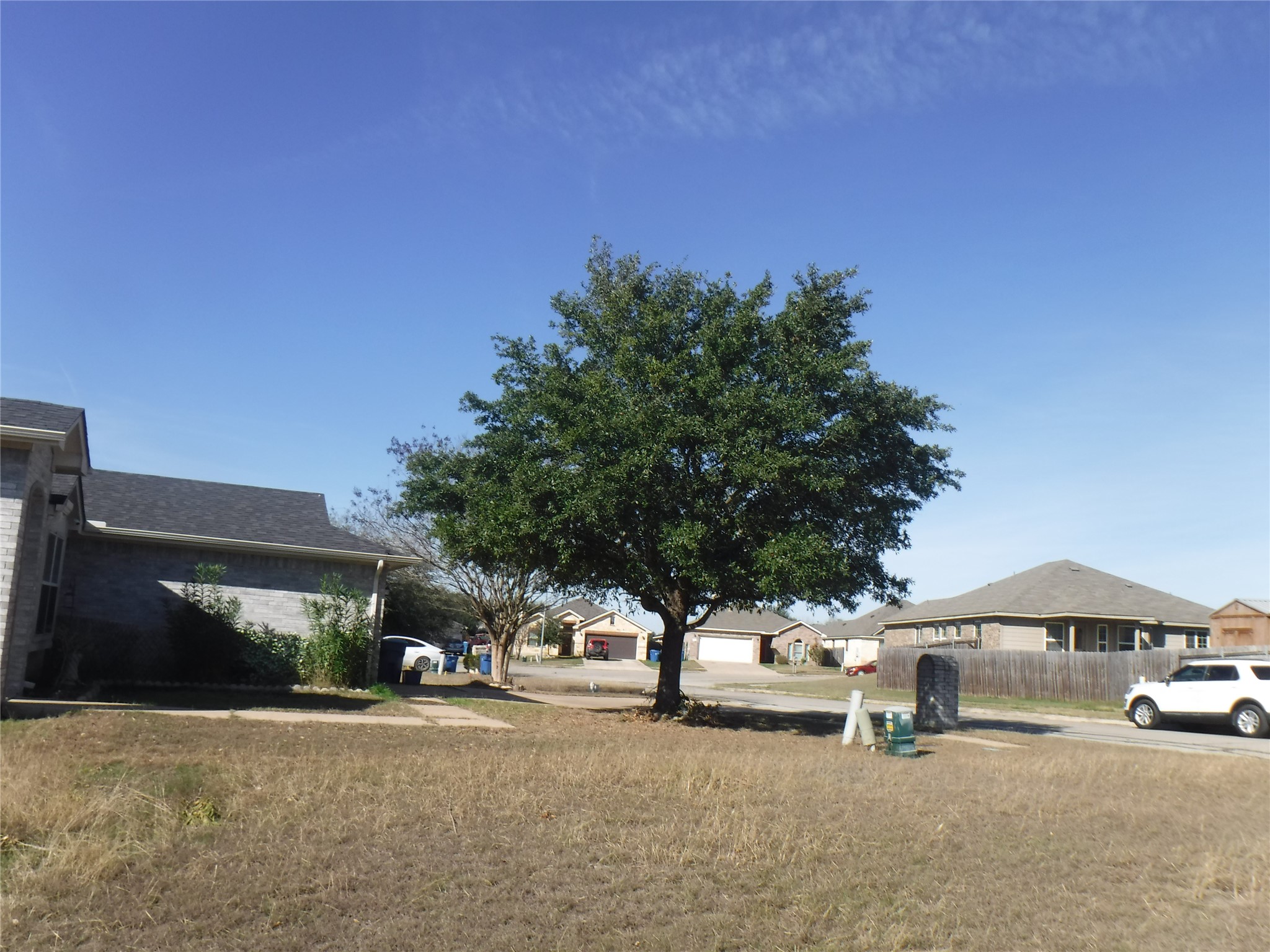 317 Gettysburg Loop Elgin, TX 78621 - Photo 4 of 14 View of yard with a residential view
