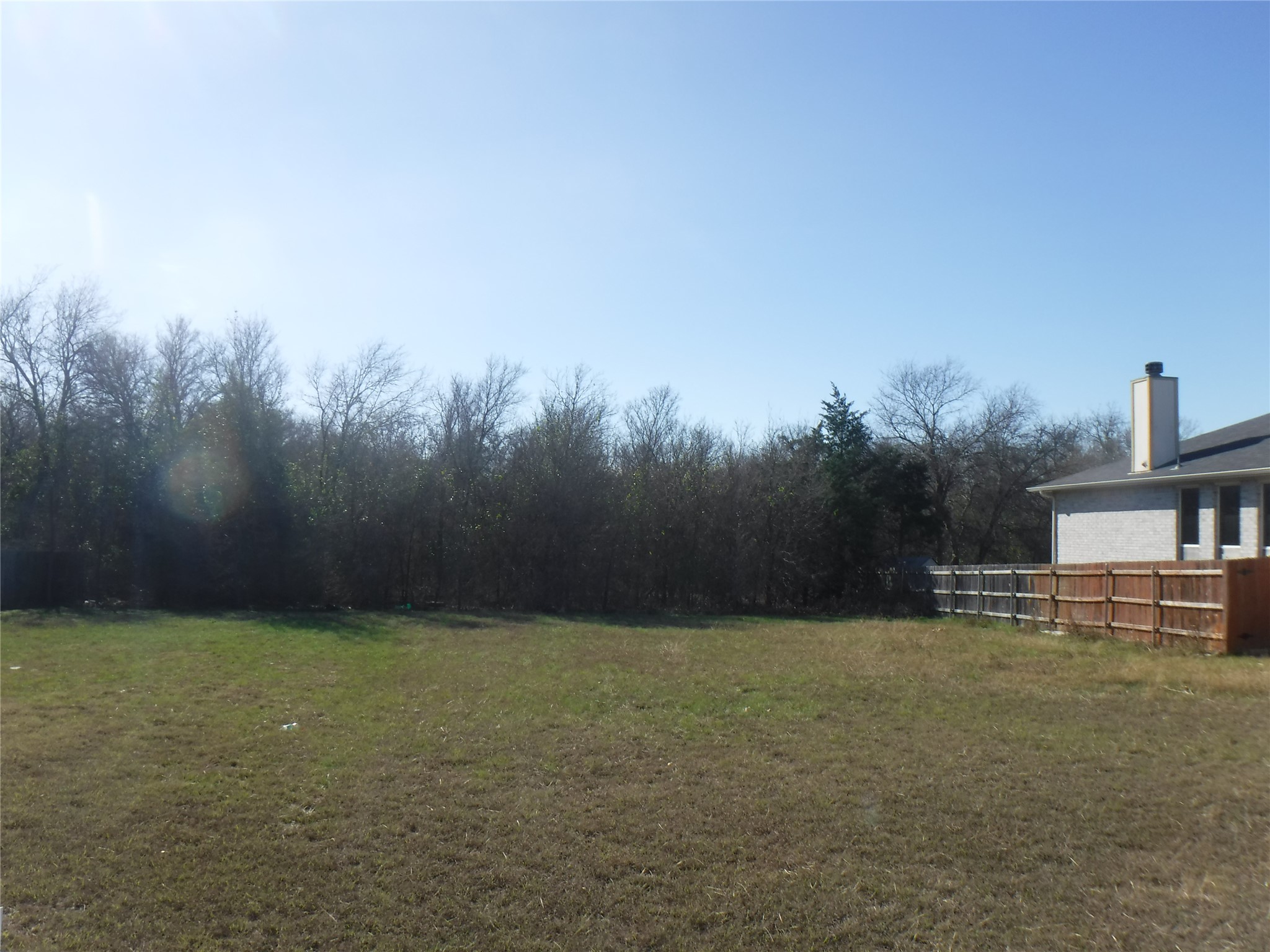 317 Gettysburg Loop Elgin, TX 78621 - Photo 5 of 14 View of yard