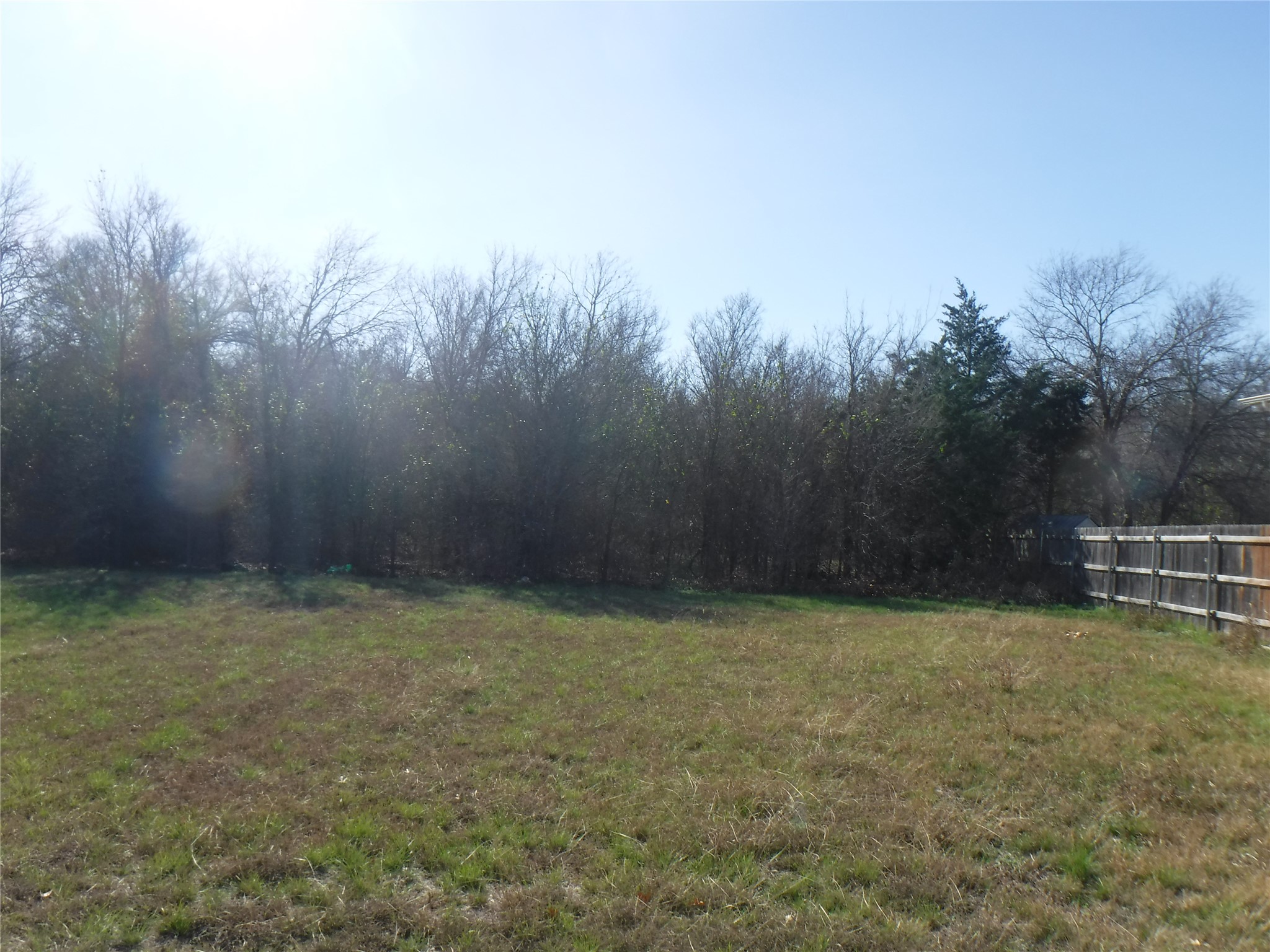 317 Gettysburg Loop Elgin, TX 78621 - Photo 8 of 14 View of yard