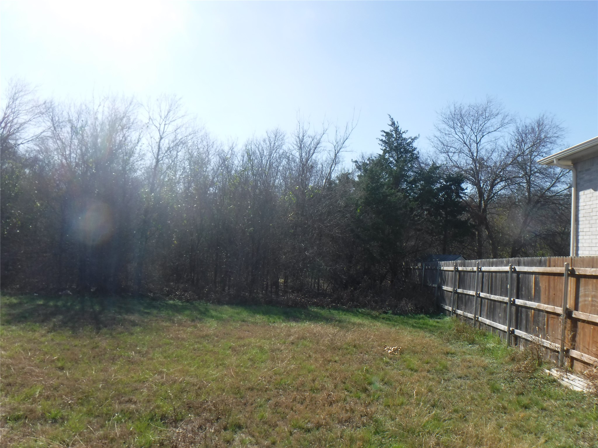 317 Gettysburg Loop Elgin, TX 78621 - Photo 9 of 14 View of yard