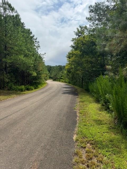 43-44 Reece Mountain Road Ellijay, GA 30536 - Photo 17 of 24 Gallery Image 17