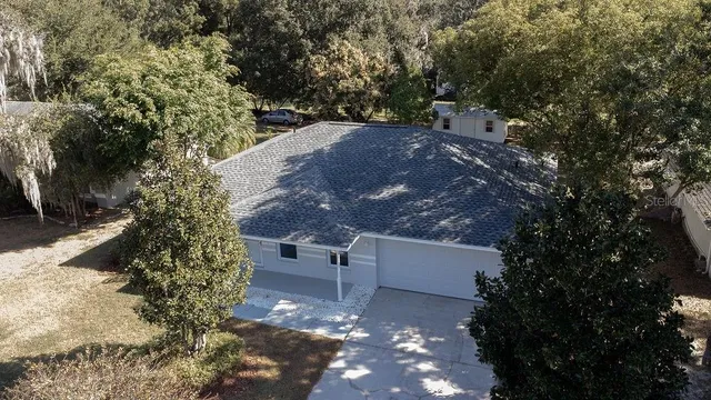a view of a tree in a yard