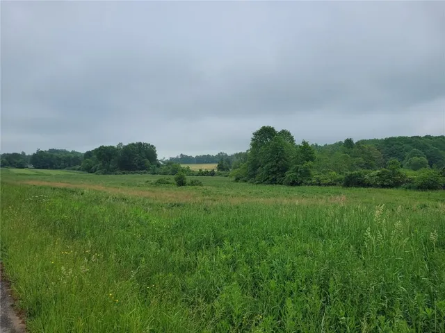 a view of a grassy field with trees