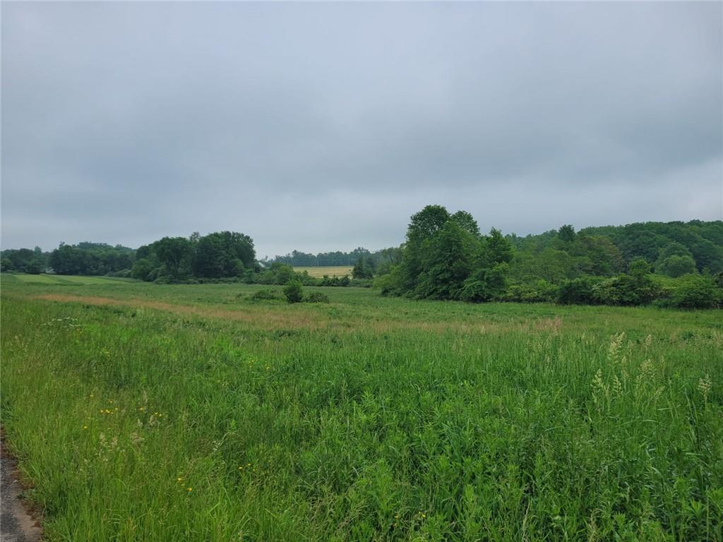 13-xx Mercer-grove City Road Mercer, PA 16137 - Photo 2 of 7 a view of a grassy field with trees