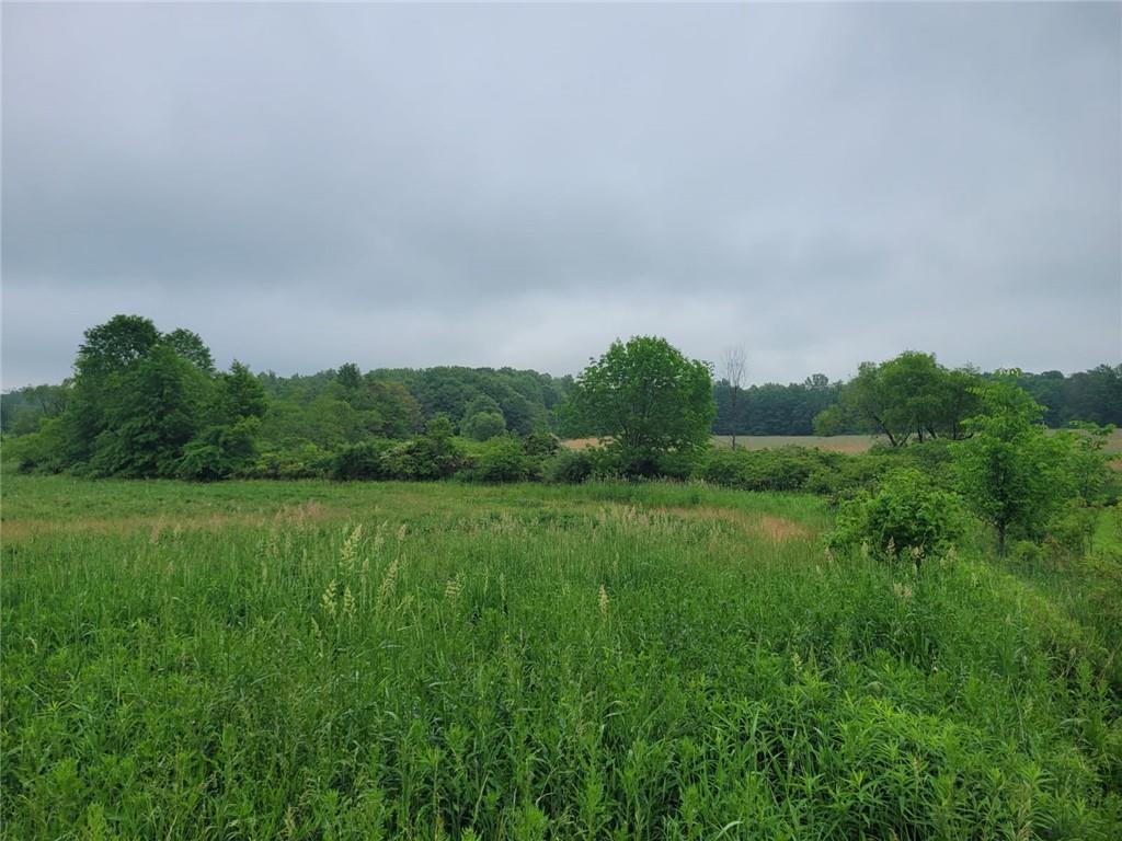 13-xx Mercer-grove City Road Mercer, PA 16137 - Photo 4 of 7 a view of a field of grass and trees