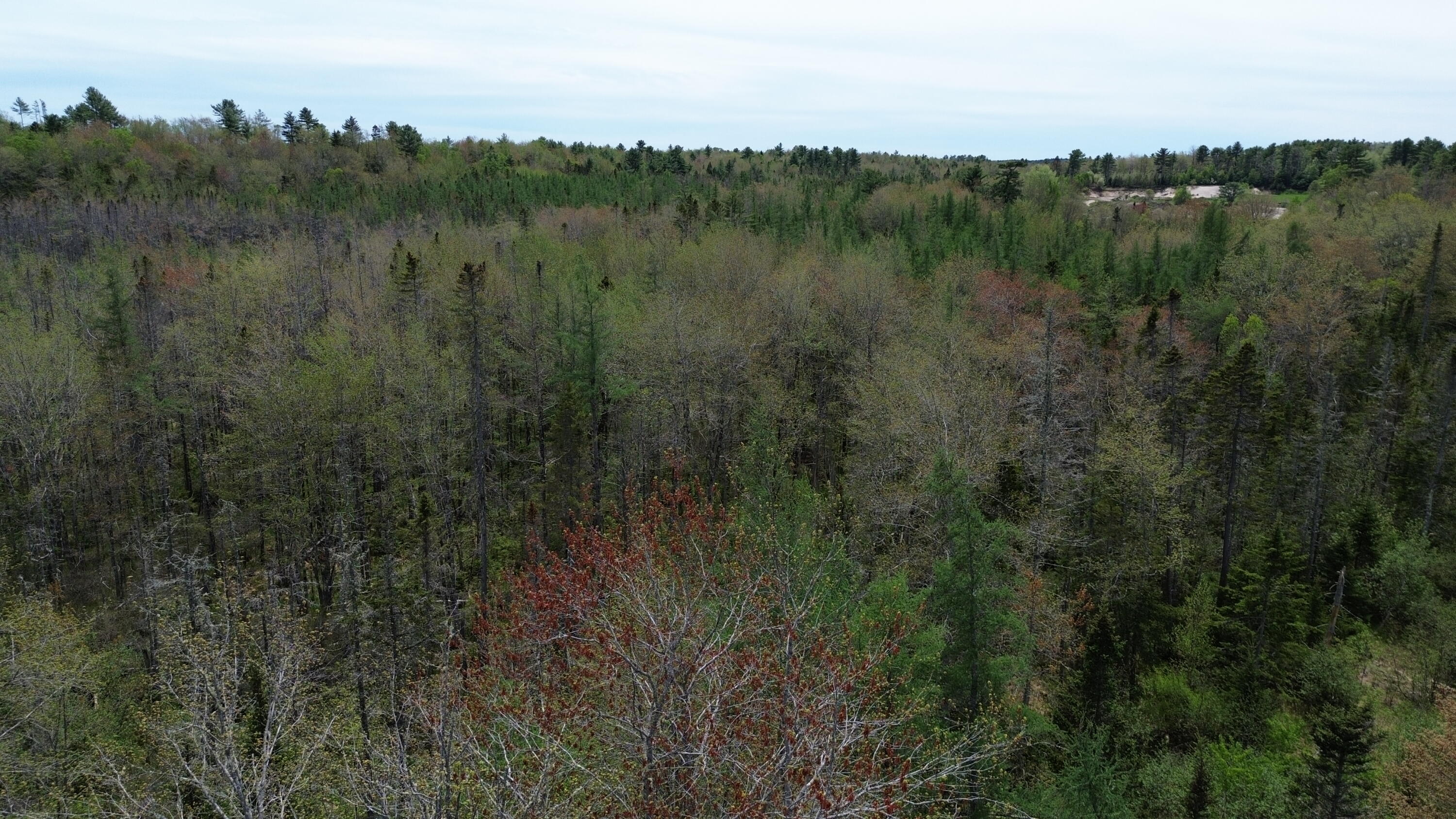 365 Cushing Road Cushing, ME 04563 - Photo 3 of 32 11
