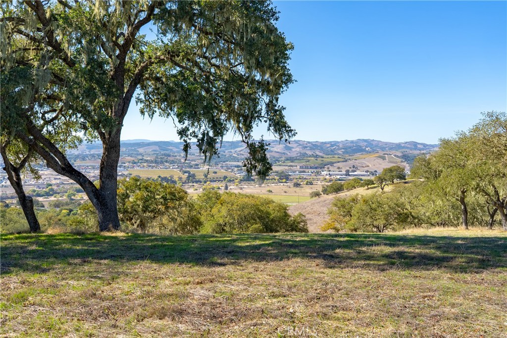 2264 Lake Ysabel Road Templeton, CA 93465 - Photo 18 of 20 a view of a tree next to a yard