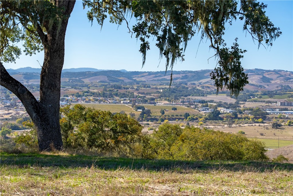 2264 Lake Ysabel Road Templeton, CA 93465 - Photo 19 of 20 a view of lake