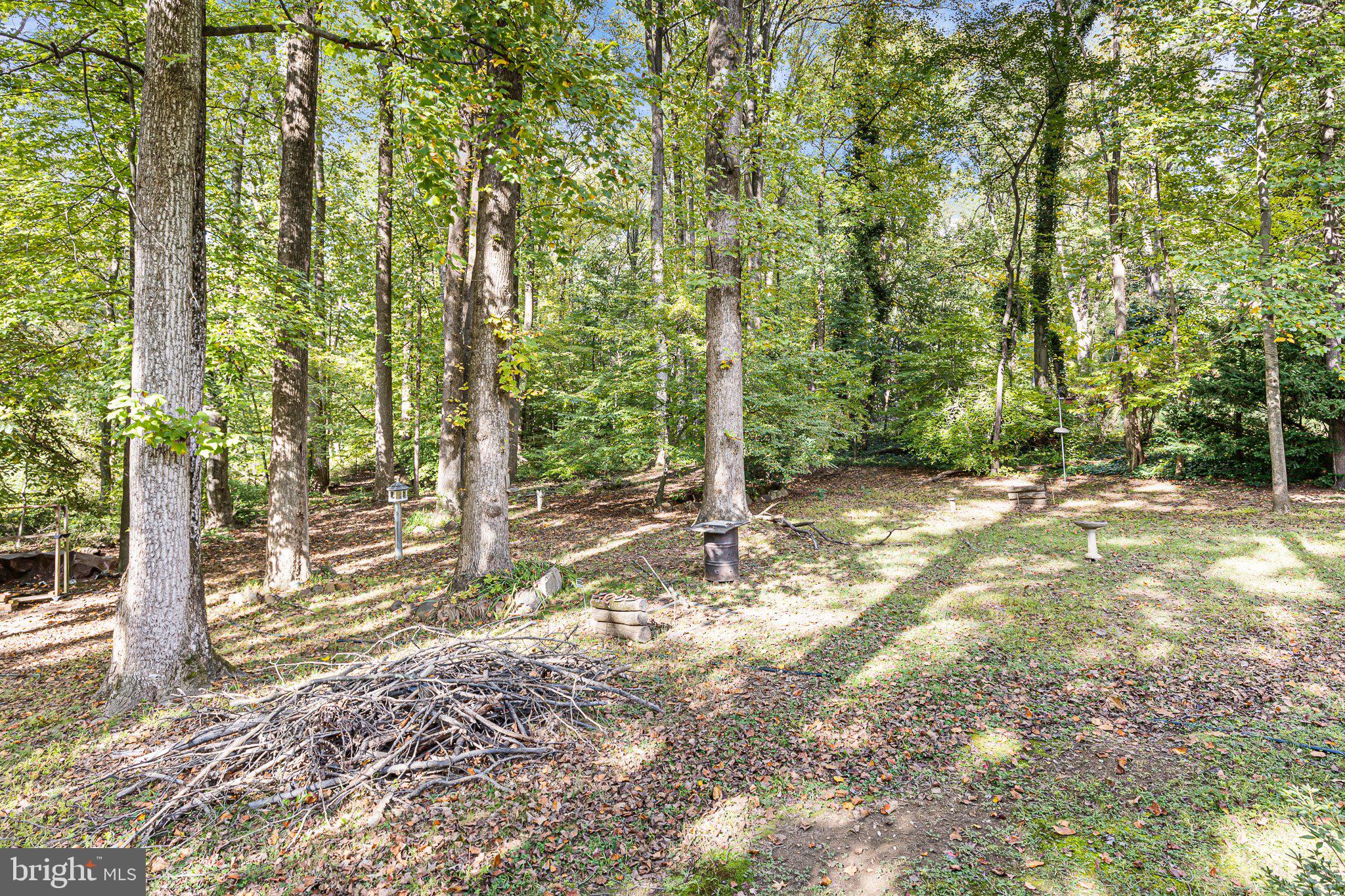 602 Money Road Townsend, DE 19734 - Photo 7 of 21 Gallery Image 7