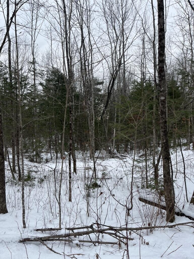 5 Fickett Road Etna, ME 04434 - Photo 4 of 7 2AD6F8CF-D833-4451-A9F6-E478647EDF7A_1_1