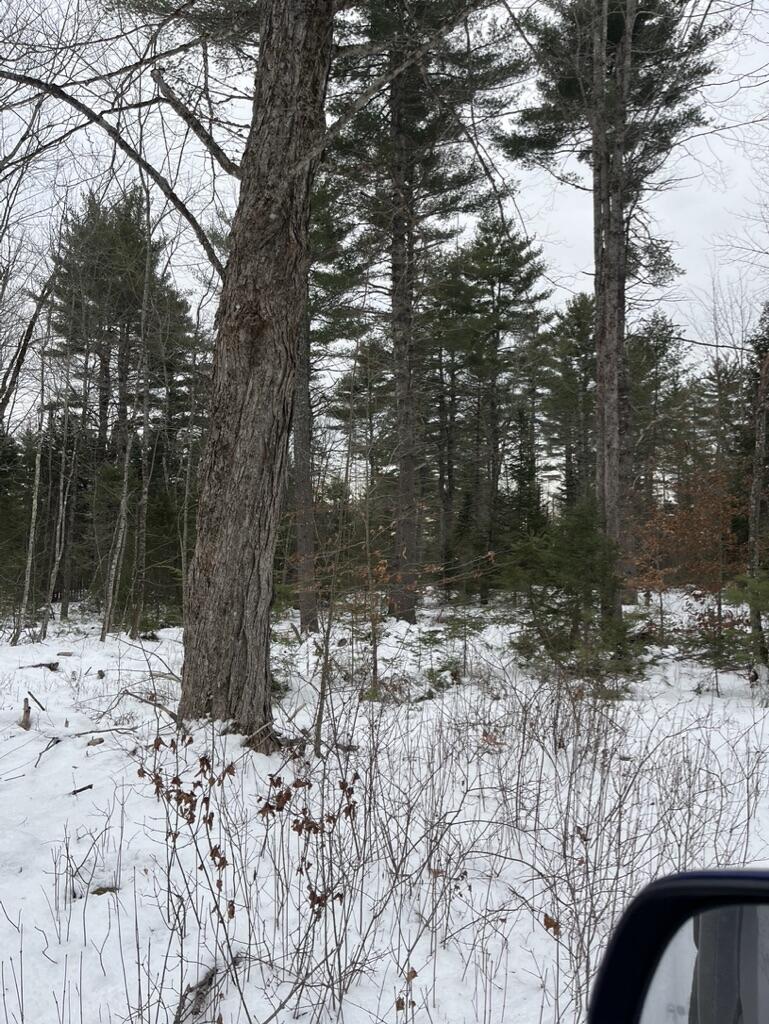 5 Fickett Road Etna, ME 04434 - Photo 5 of 7 79E814E8-E61D-4B36-981A-BABBE1B24CB6_1_1