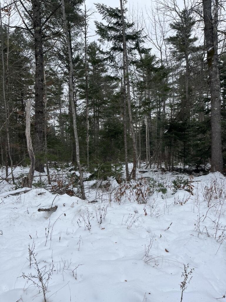 5 Fickett Road Etna, ME 04434 - Photo 6 of 7 DF4A304E-A7AF-4C7A-971F-E5E621CB9F6B_1_1