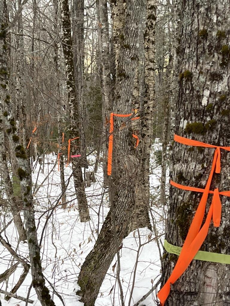 5 Fickett Road Etna, ME 04434 - Photo 7 of 7 FC33AB54-898F-43F1-8D34-5A9D286F4697_1_1