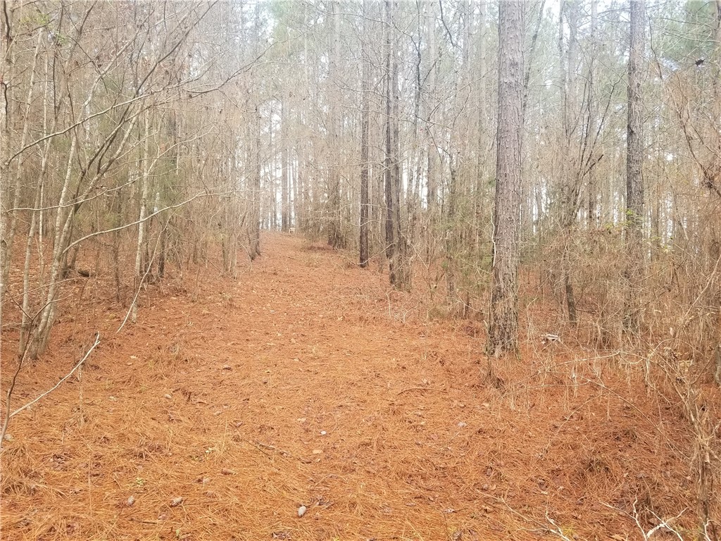 0 Cannon Bottom Road Belton, SC 29627 - Photo 4 of 15