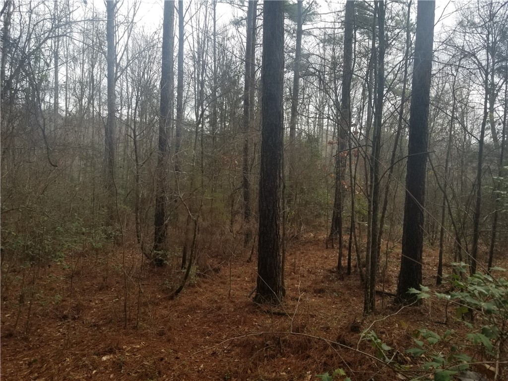 0 Cannon Bottom Road Belton, SC 29627 - Photo 5 of 15