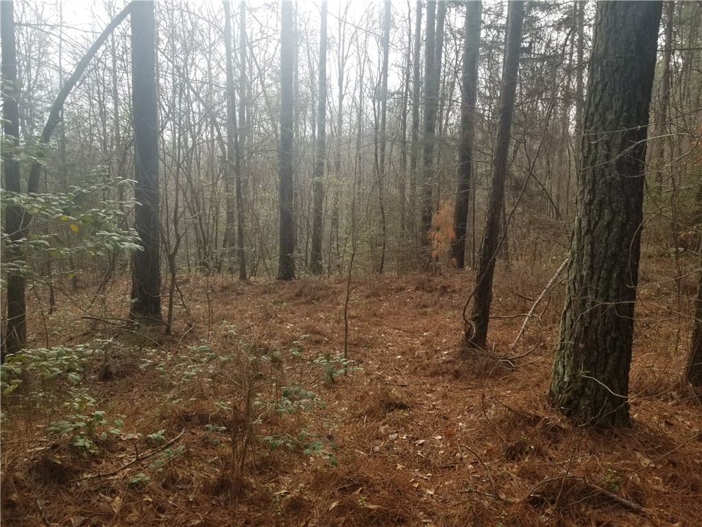 0 Cannon Bottom Road Belton, SC 29627 - Photo 6 of 15