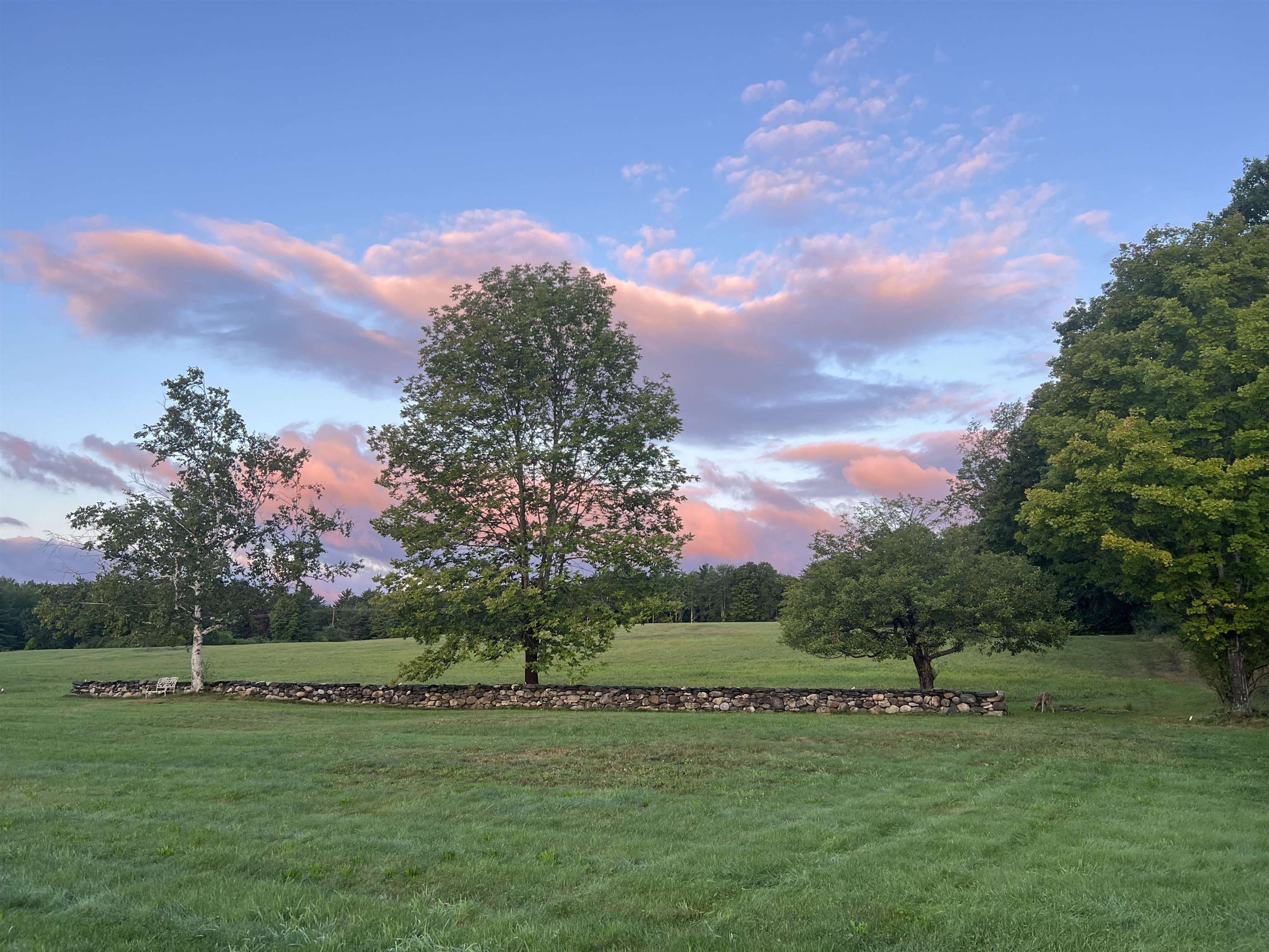 256 Walter Westney Road Springfield, VT 05156 - Photo 21 of 34