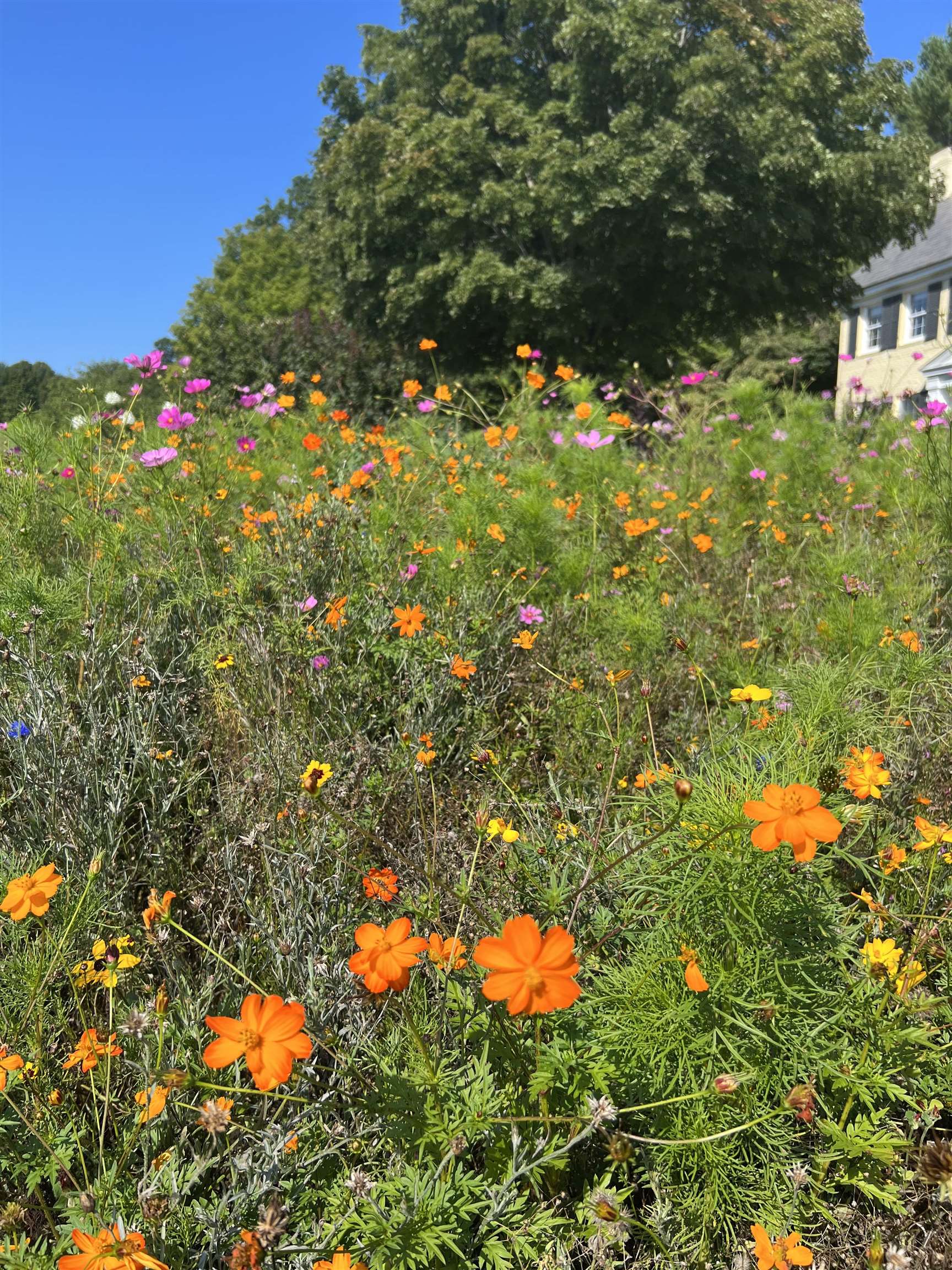 256 Walter Westney Road Springfield, VT 05156 - Photo 22 of 34