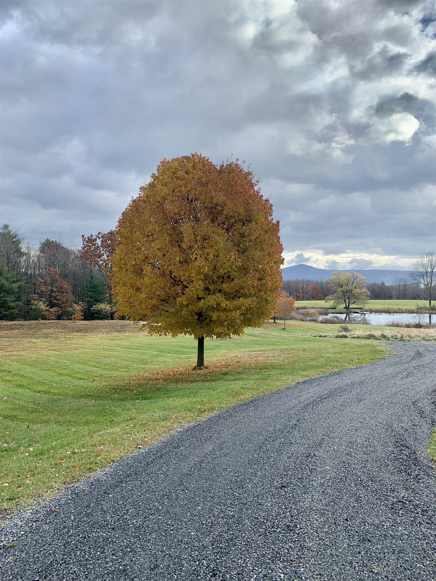 256 Walter Westney Road Springfield, VT 05156 - Photo 24 of 34