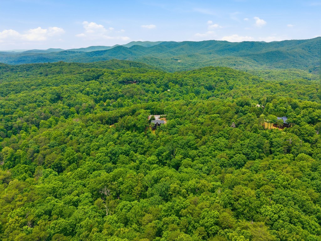 254 Leatherwood Mountain Road Cherry Log, GA 30522 - Photo 97 of 103