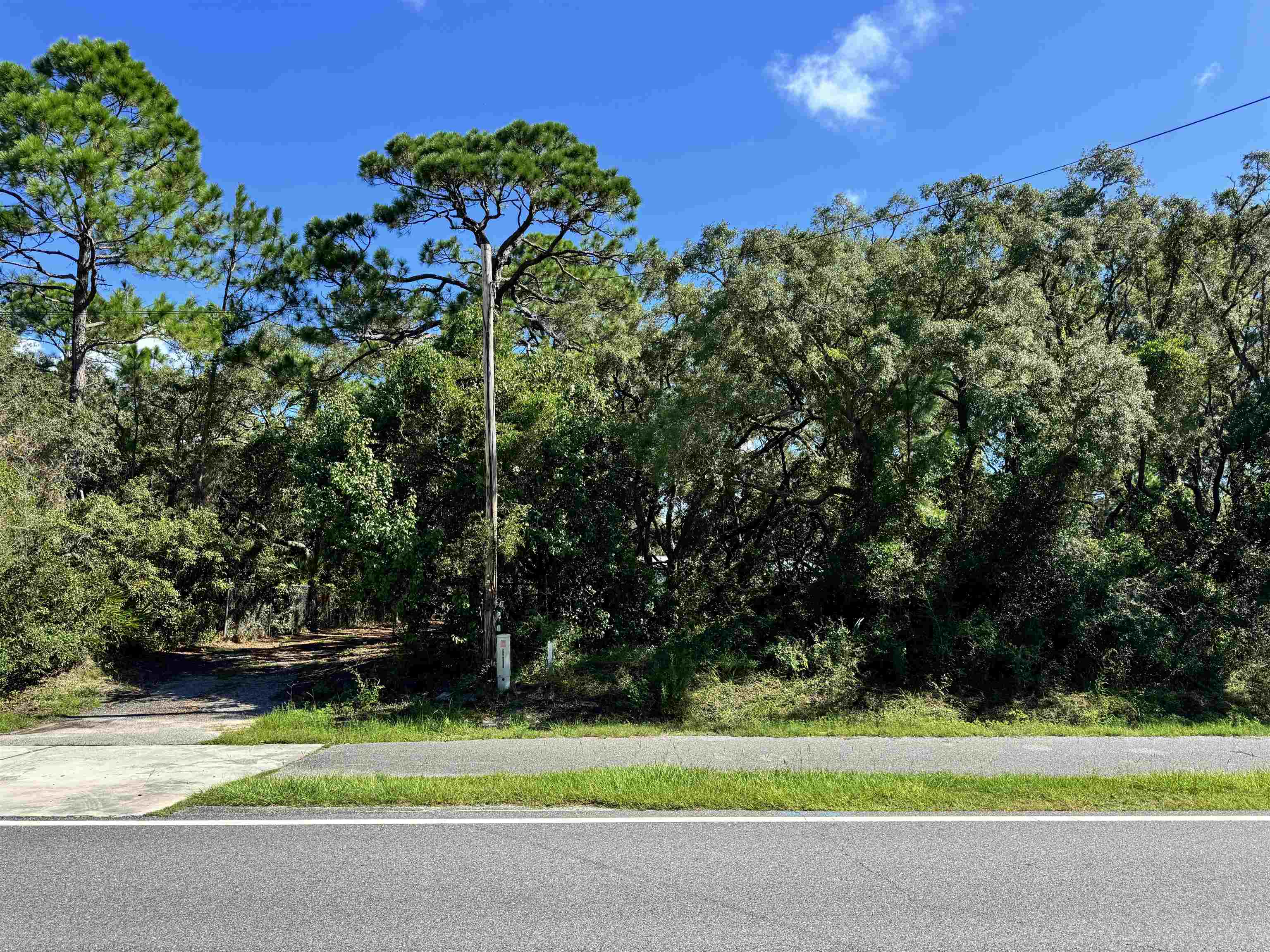 2740 Surf Road Panacea, FL 32346 - Photo 12 of 51 Gallery Image 12