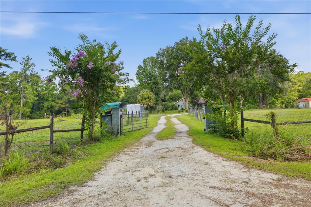 17900 Northwest 120th Avenue Road Reddick, FL 32686 - Photo 12 of 45 a view of a park with large trees