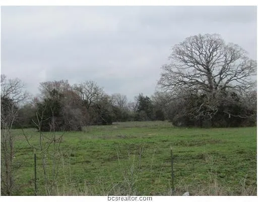 a view of a field with trees in background