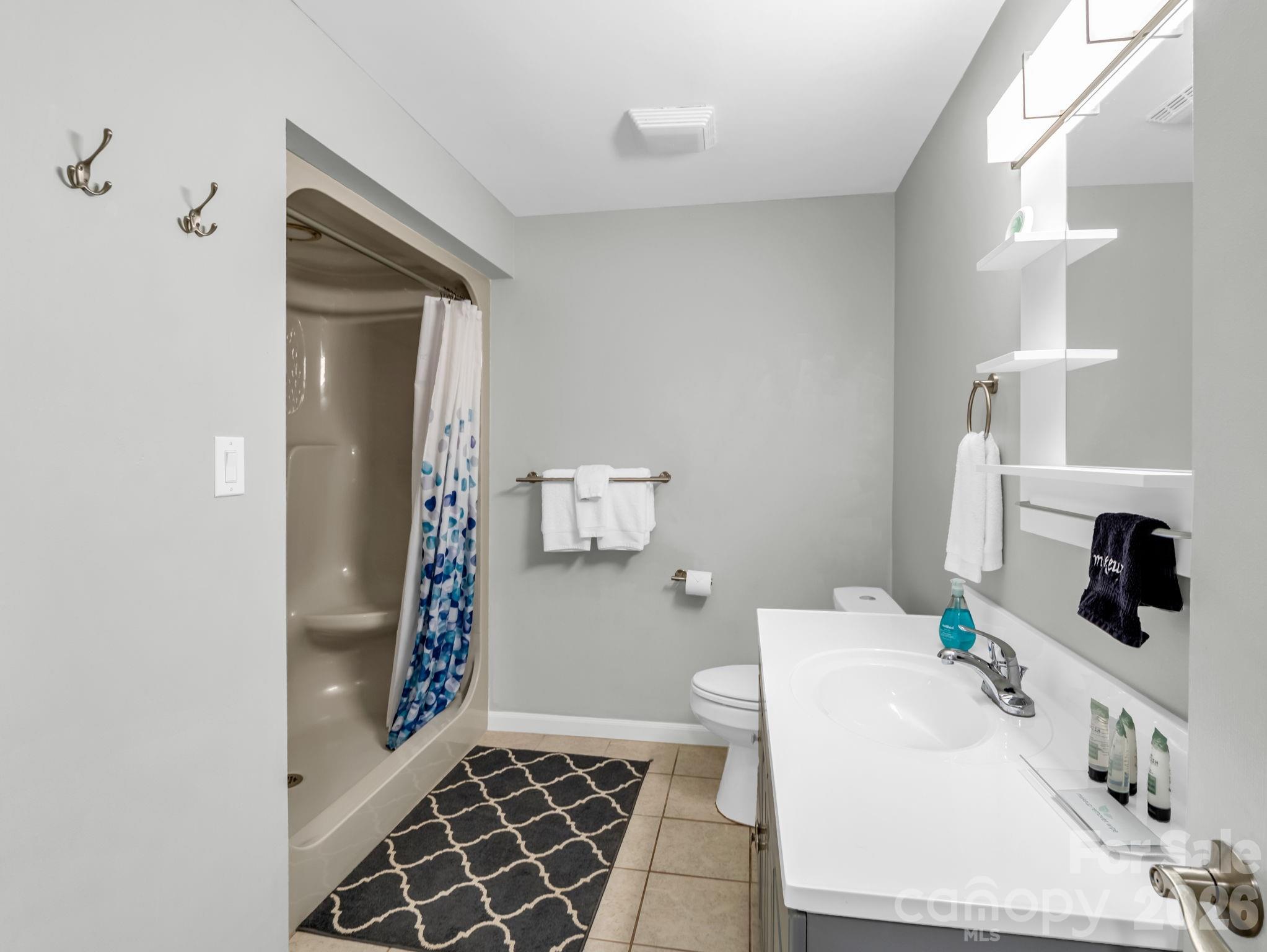 656 Cashiers Valley Road Brevard, NC 28712 - Photo 26 of 37 a bathroom with a sink a toilet and shower