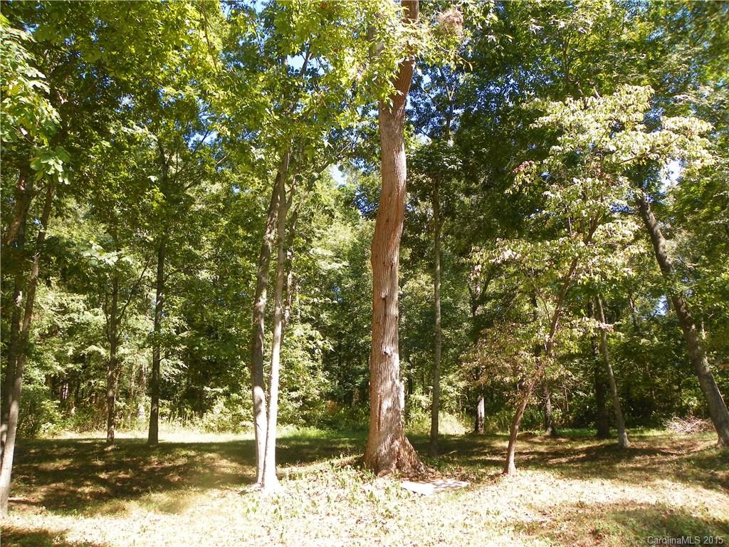 23-24 Jackson Road Fort Lawn, SC 29714 - Photo 14 of 24 Gallery Image 14