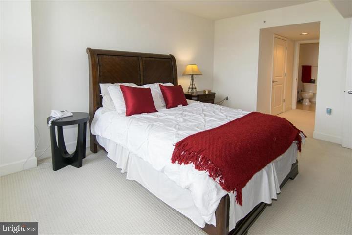 11800 Sunset Hills Road, Unit 919 Reston, VA 20190 - Photo 13 of 22