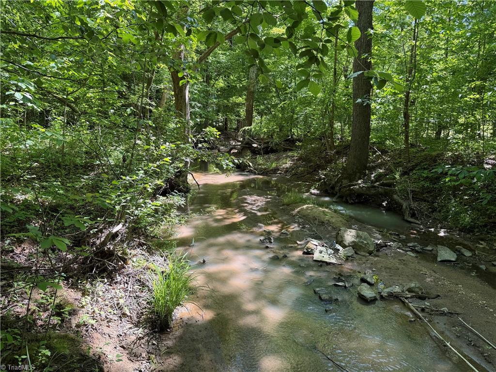 0 Sink Road Lexington, NC 27295 - Photo 2 of 4